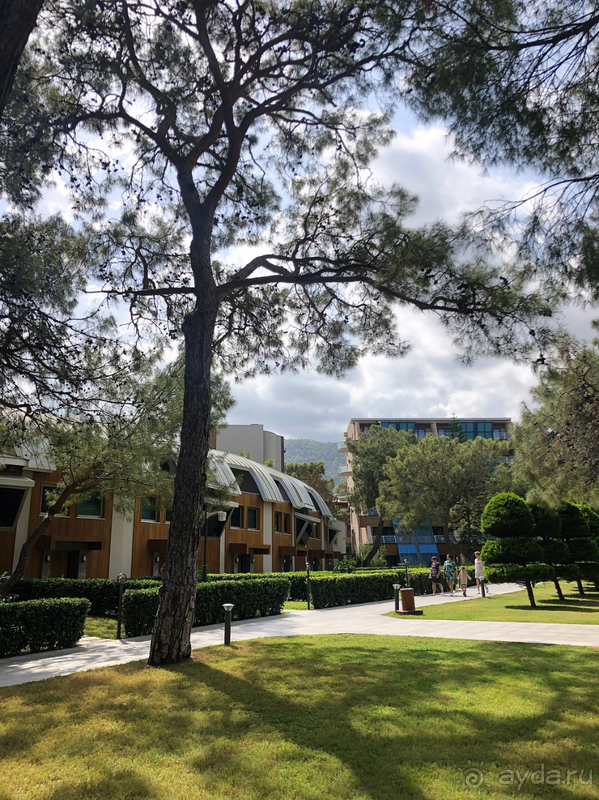 Очень хороший отель для непритязательных туристов Очень хороший отель для непритязательных туристов