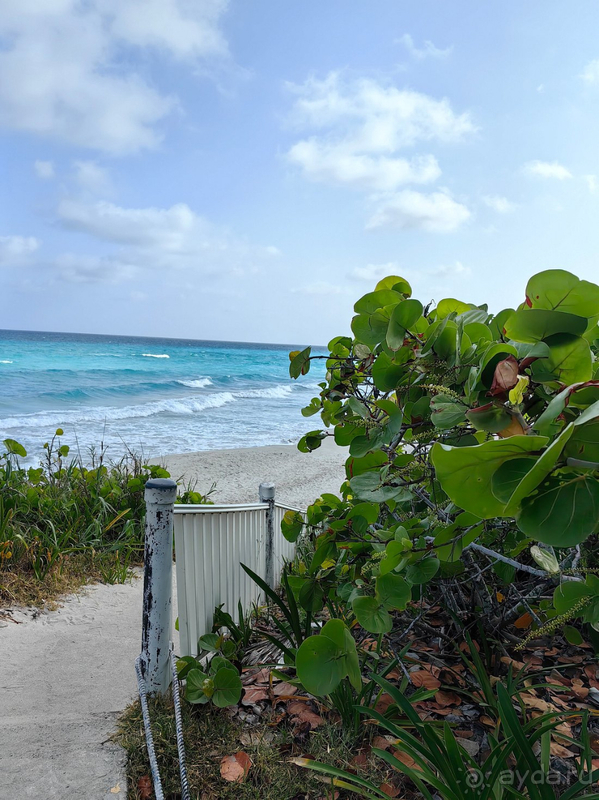 Мы довольны, отель советую! 