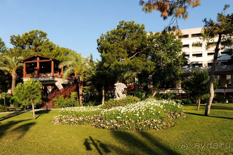 Отличный 5-ти звездочный отель