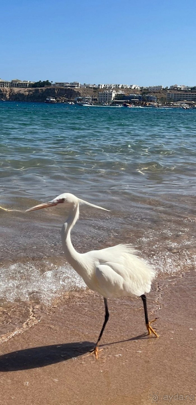 Альбом отзыва "Мои каникулы на майские праздники 2024"