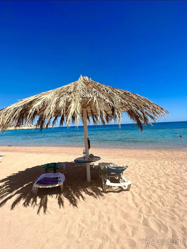 фото Jaz Fayrouz Resort