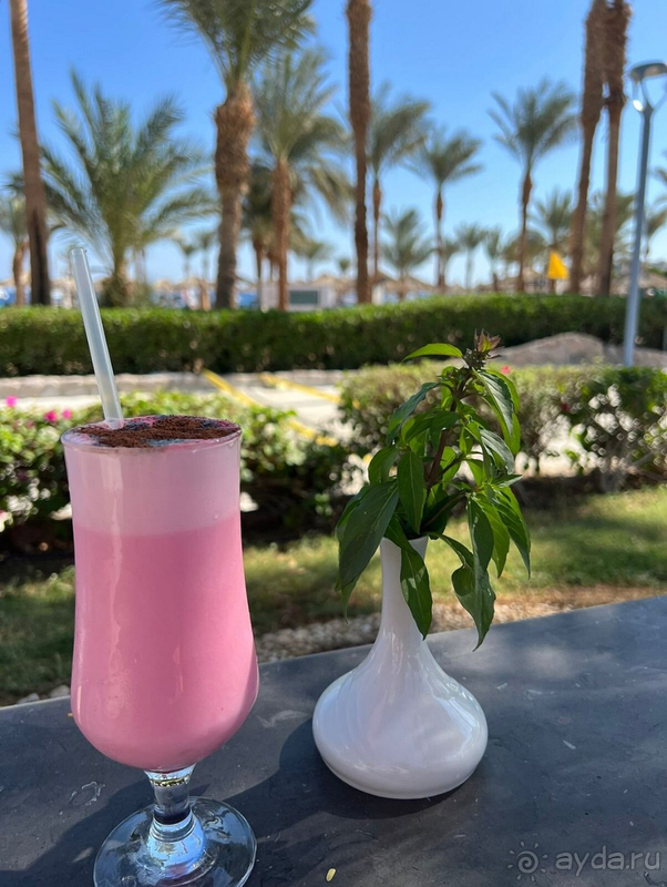 Альбом отзыва "Мои каникулы на майские праздники 2024"