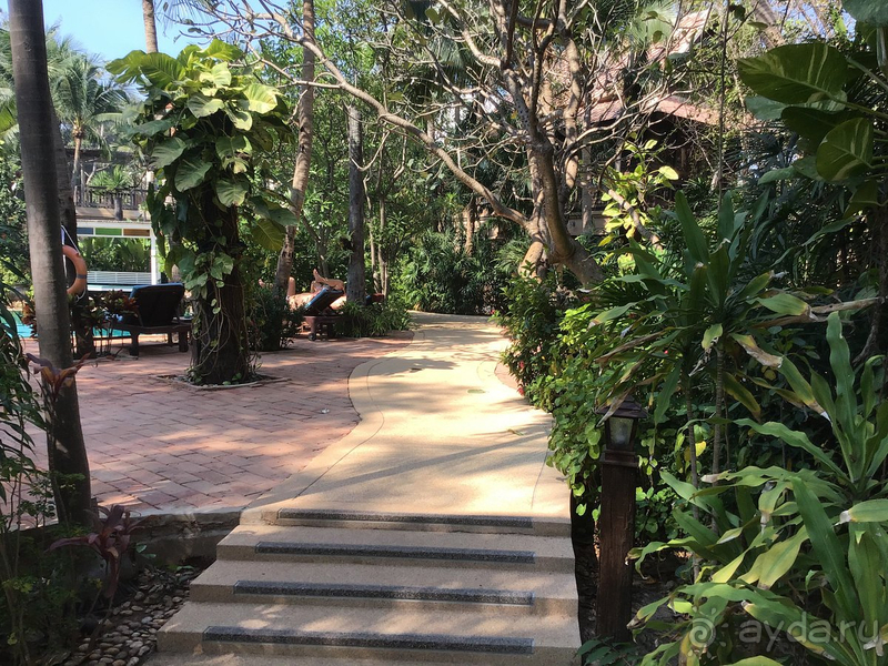 фото Rabbit Resort