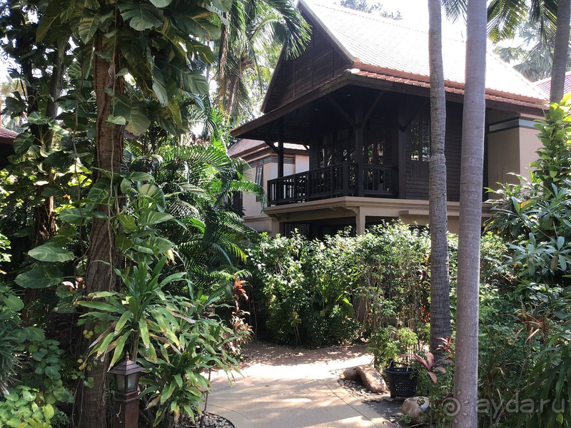 фото Rabbit Resort