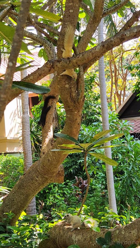 Великолепно, но все-таки что-то надо заменить, а что-то покрасить )