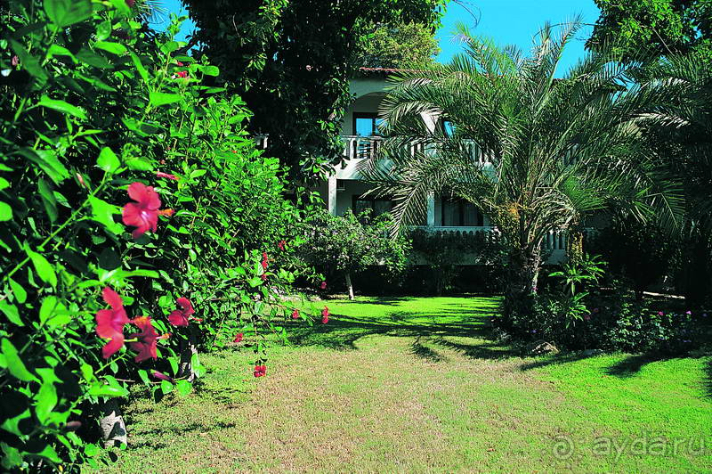 Отель - великолепен! 