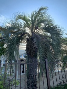 Отель в Абхазии