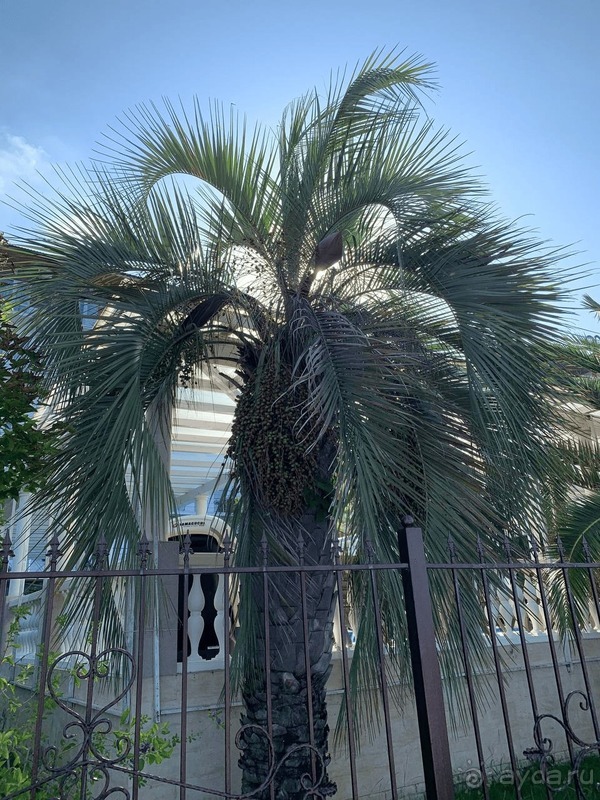 Отель в Абхазии