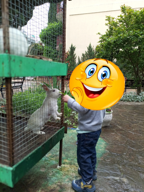 Хороший отель в центре Адлера