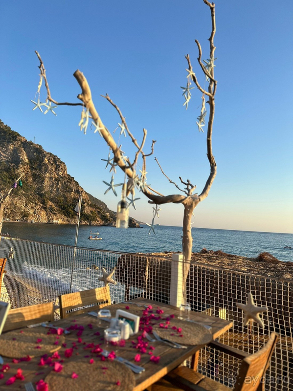 Природа, питание, детский пляж- основные плюсы.