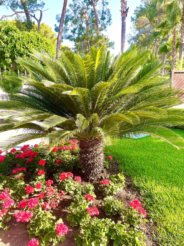 Прекрасный отель 🫶 Прекрасный отель 🫶