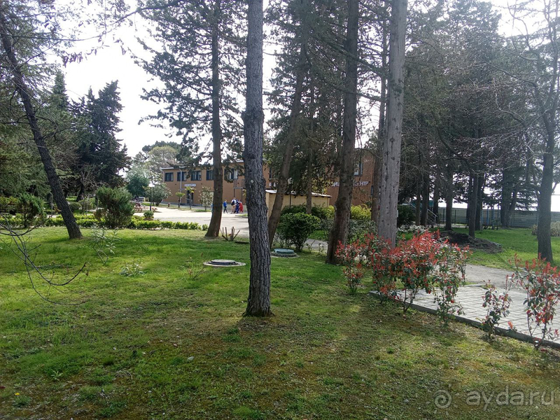 Настало время позаботиться о здоровье и вкусно поесть.