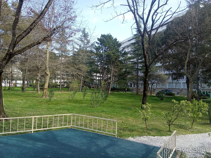 Настало время позаботиться о здоровье и вкусно поесть.