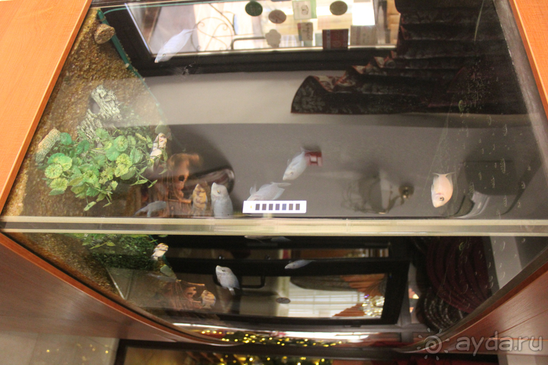 Зимний отдых удался. 