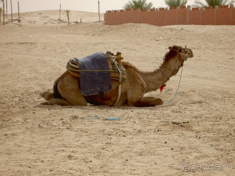 фото Marhaba Club