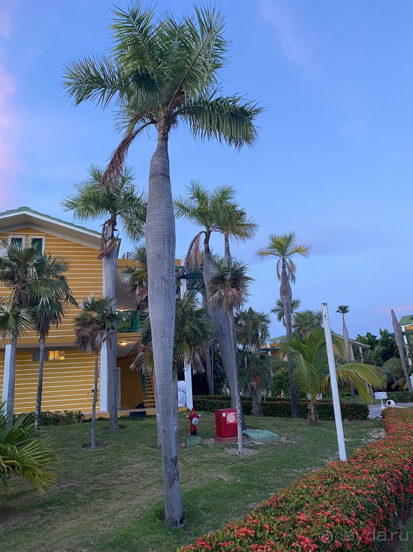 Отдых на 3 из 5