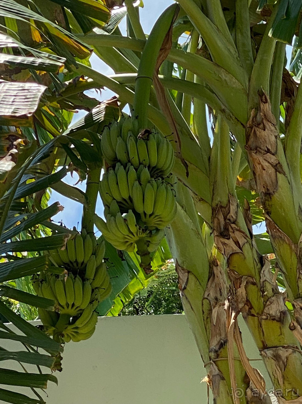 Отдых на 3 из 5