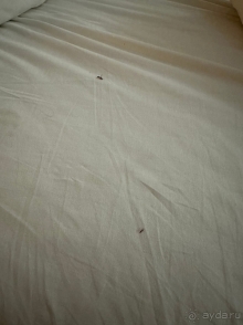 Не могу рекомендовать отель