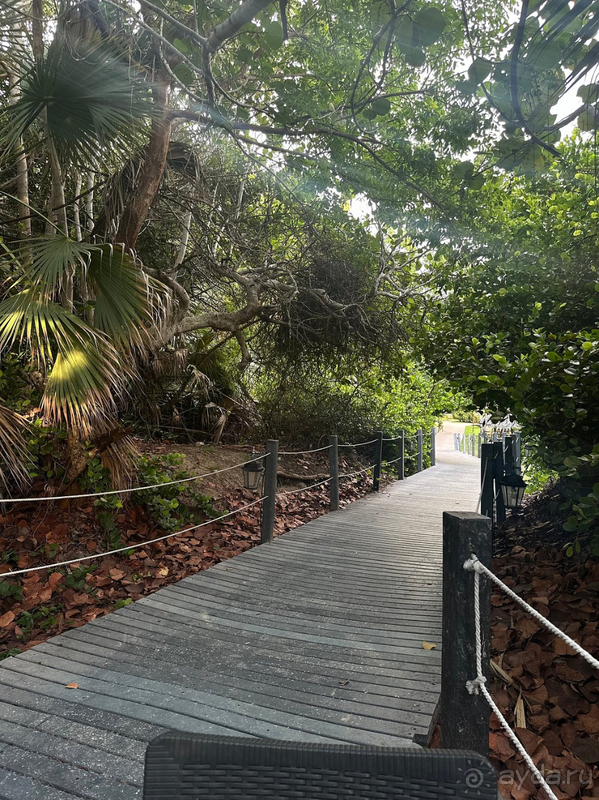 Не могу рекомендовать отель