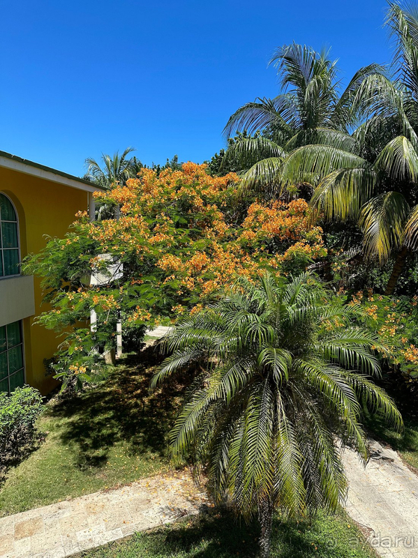 Не могу рекомендовать отель