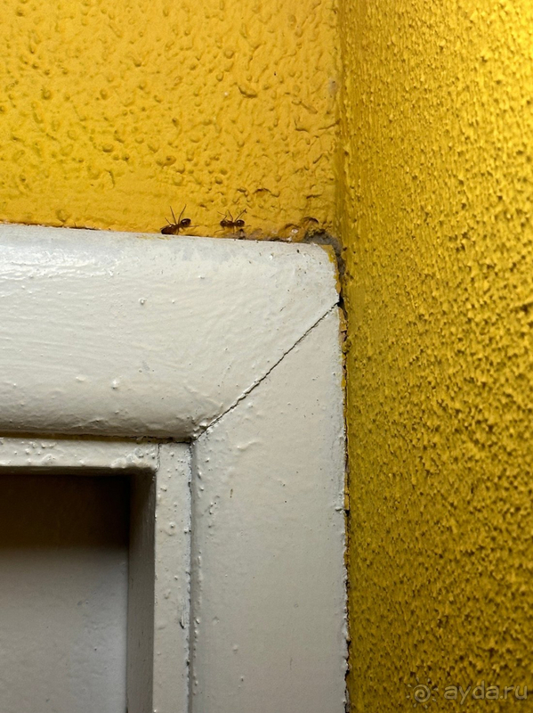 Не могу рекомендовать отель