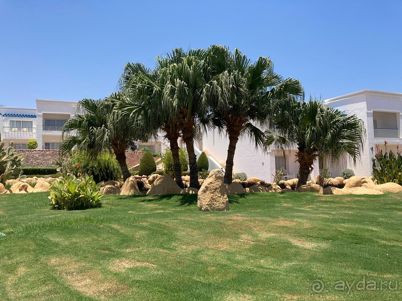 фото Renaissance Sharm El Sheikh Golden View Beach Resort