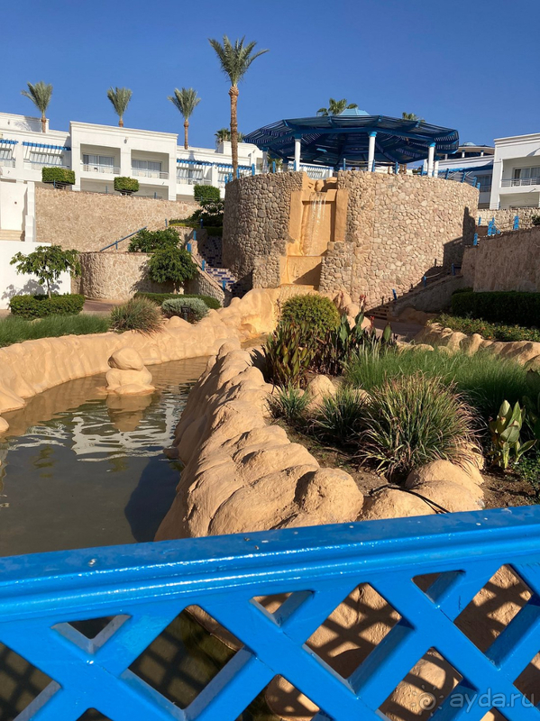 фото Renaissance Sharm El Sheikh Golden View Beach Resort