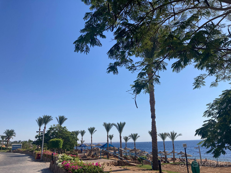 фото Renaissance Sharm El Sheikh Golden View Beach Resort