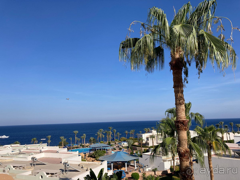 Все на высшем уровне