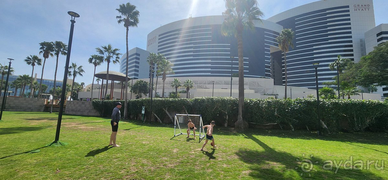 Рекомендую 100%!!!