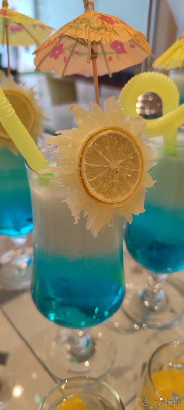 Отдых в Египте Отдых в Египте