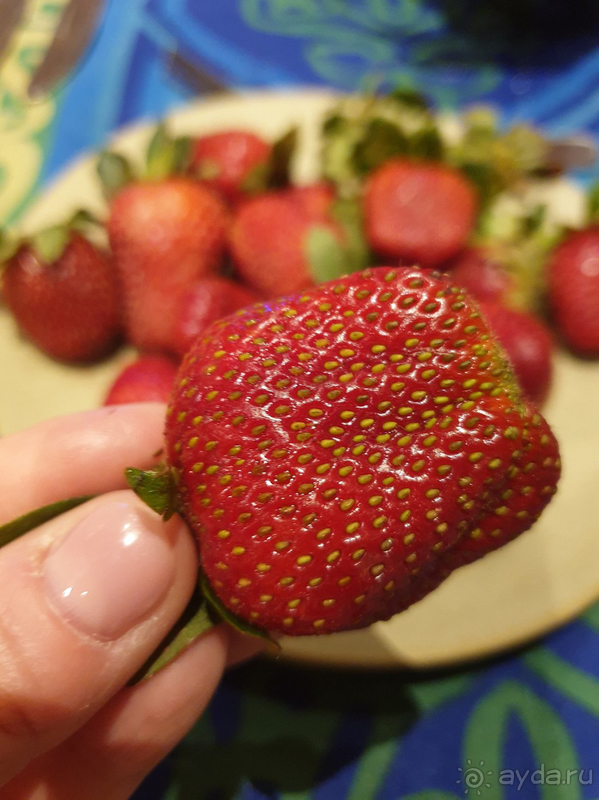 Отдохнули на все 100% !!!! ❤❤❤