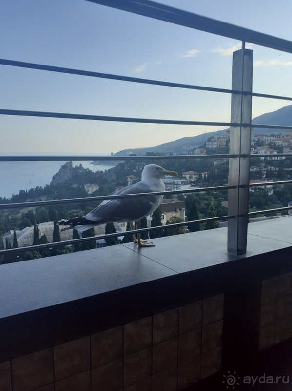 Хороший семейный отдых