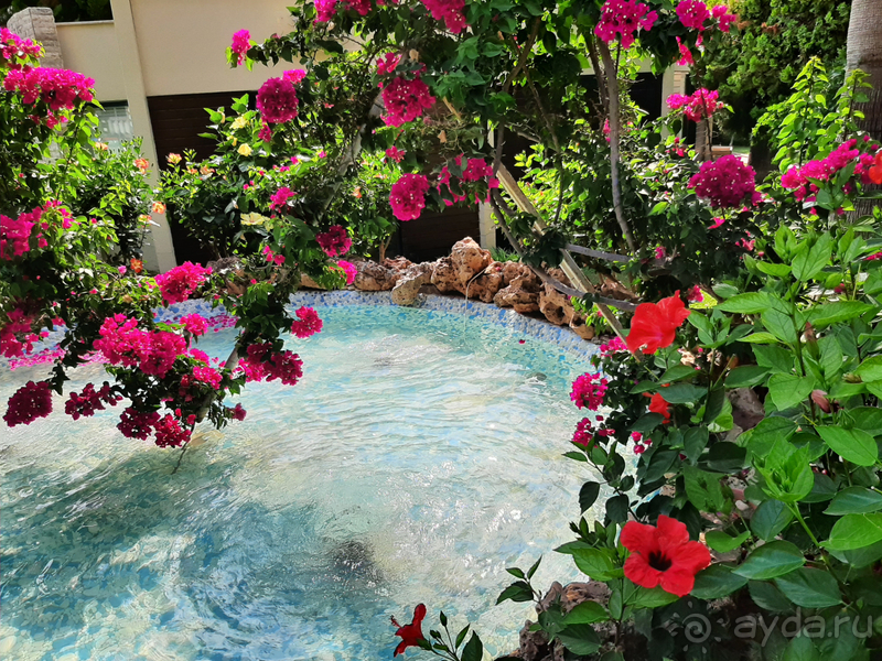 Когда ожидания и реальность от отдыха совпадают