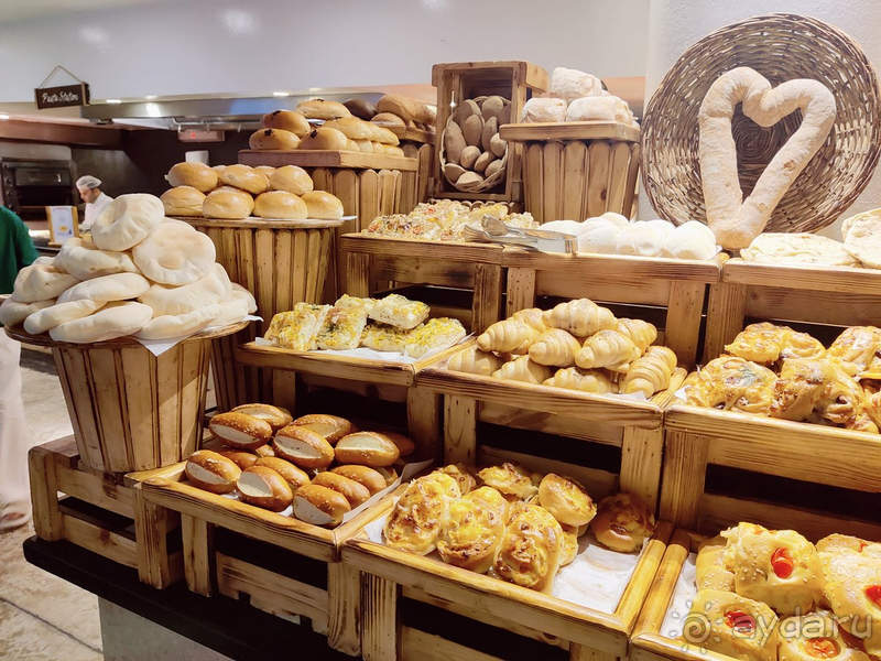 Не хотелось уезжать.