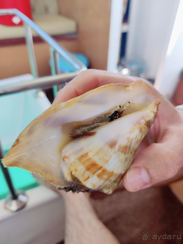 Не хотелось уезжать.