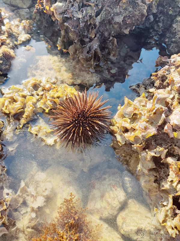 Не хотелось уезжать.