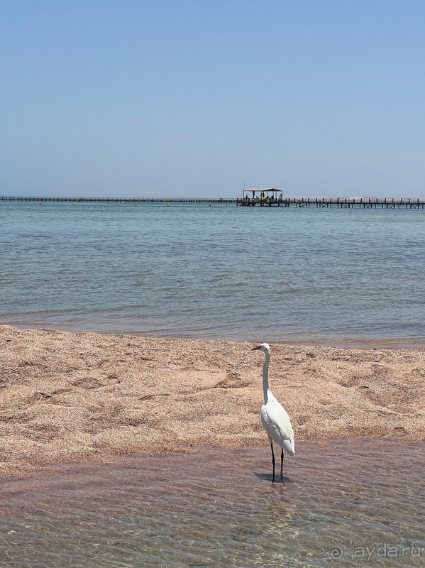 Отель хороший, нюансы есть