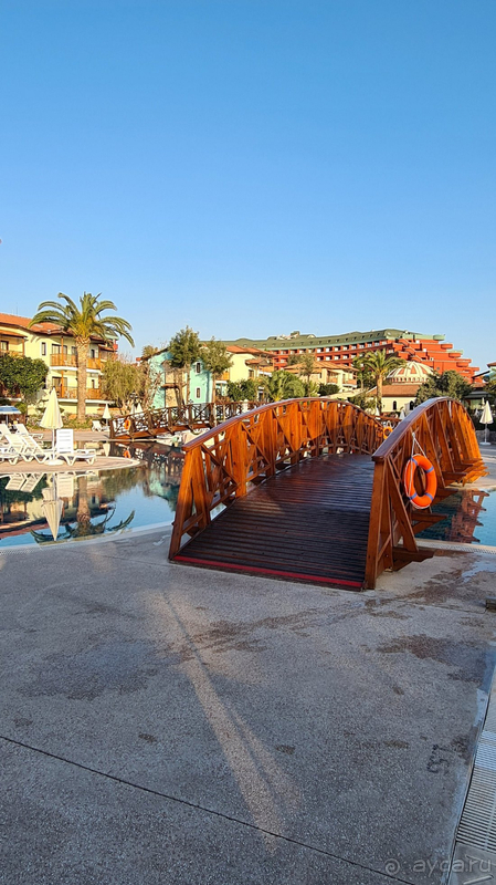 Мой отдых в Гипсофиле!!!!