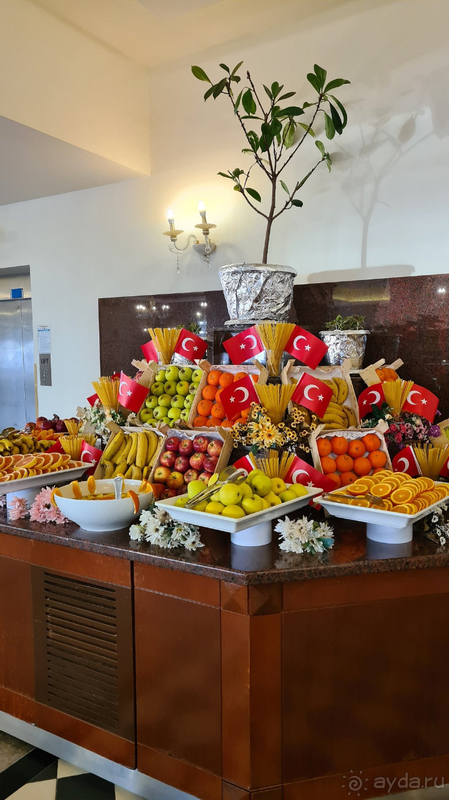 Мой отдых в Гипсофиле!!!!