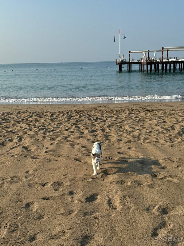 Прекрасные каникулы в Глории