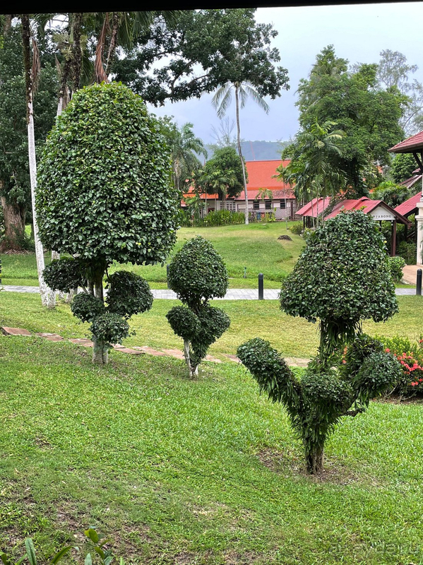 Давно мечтали побывать в Dusit