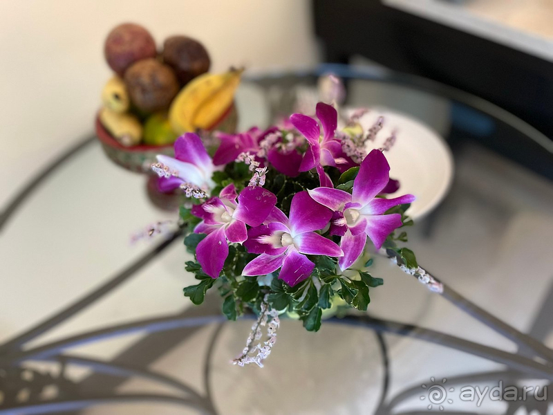 Давно мечтали побывать в Dusit