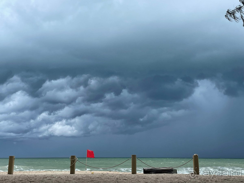 Давно мечтали побывать в Dusit