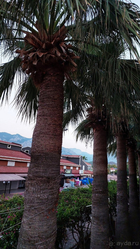 Семейный отдых в великолепном отеле.