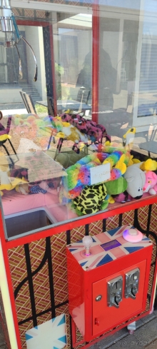 Семейный отдых на берегу моря 