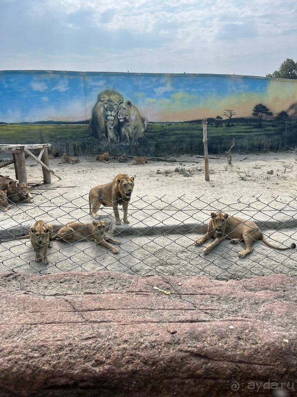 Комфортный семейный отдых