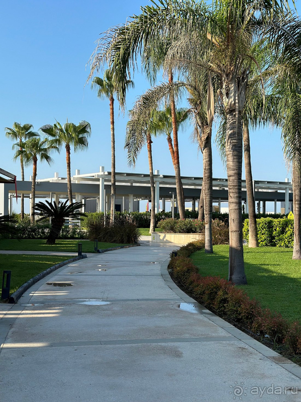 Идеальный отдых