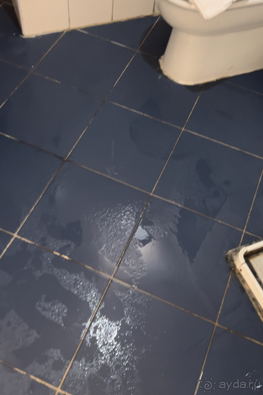 Украли все доллары в отеле 