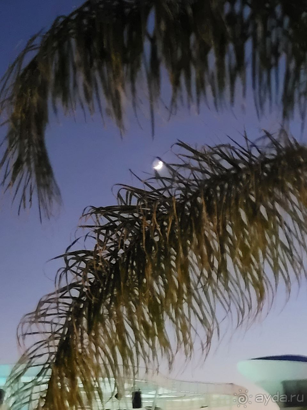 Соотношение цены и качества на момент нашей поездки. Отличный премиум, были на вилле. Был с семьёй